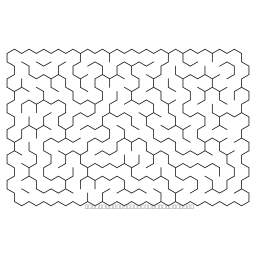 maze-hex-16x12-20017