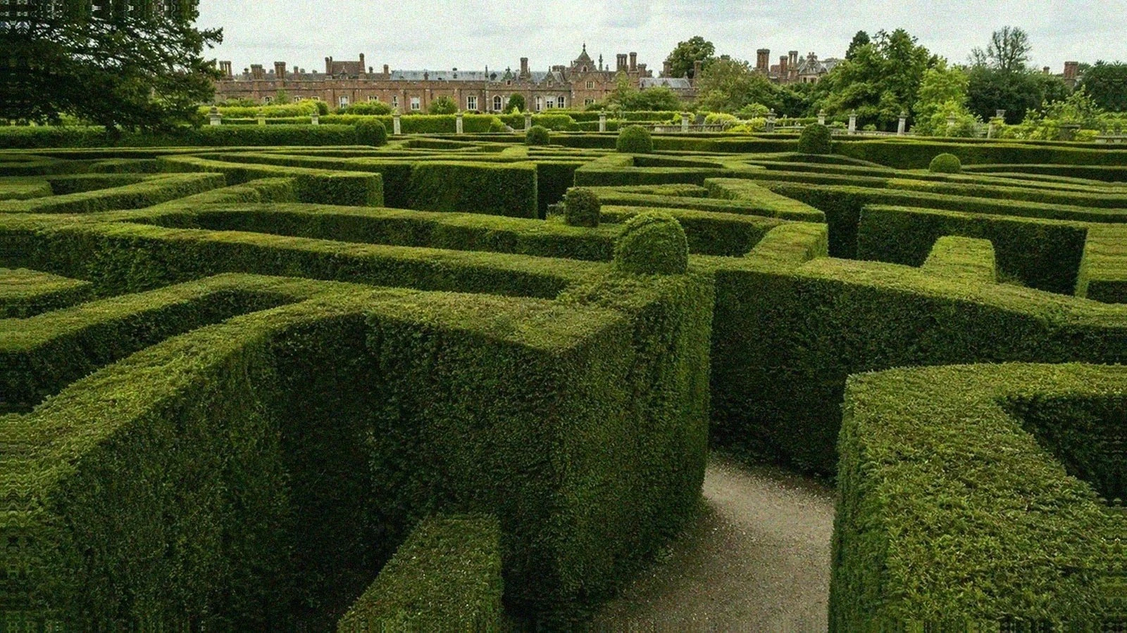 Hampton Court Palace Maze with dense yew hedges, gravel paths, and palace buildings beyond