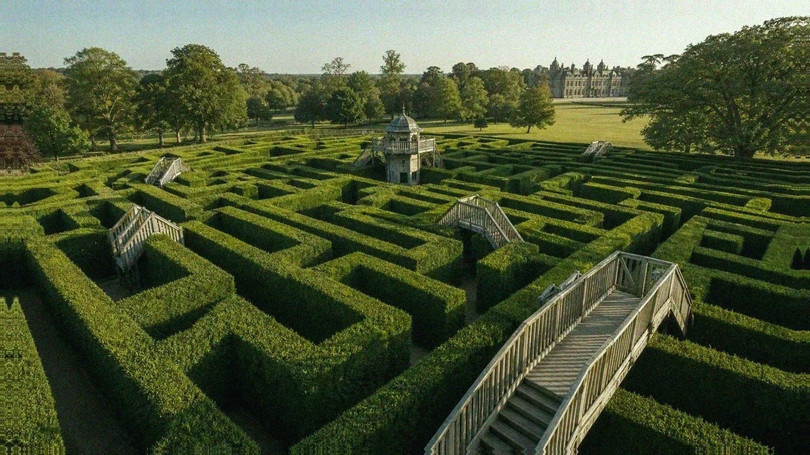 Longleat hedge maze with raised wooden bridges, a central tower, and dense yew corridors