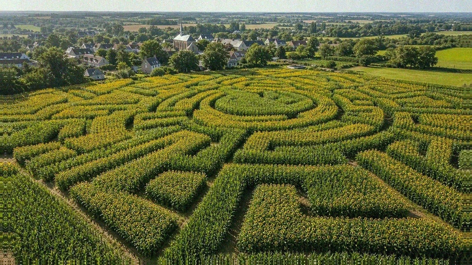 Reignac-sur-Indre maize and sunflower maze in the Loire Valley countryside